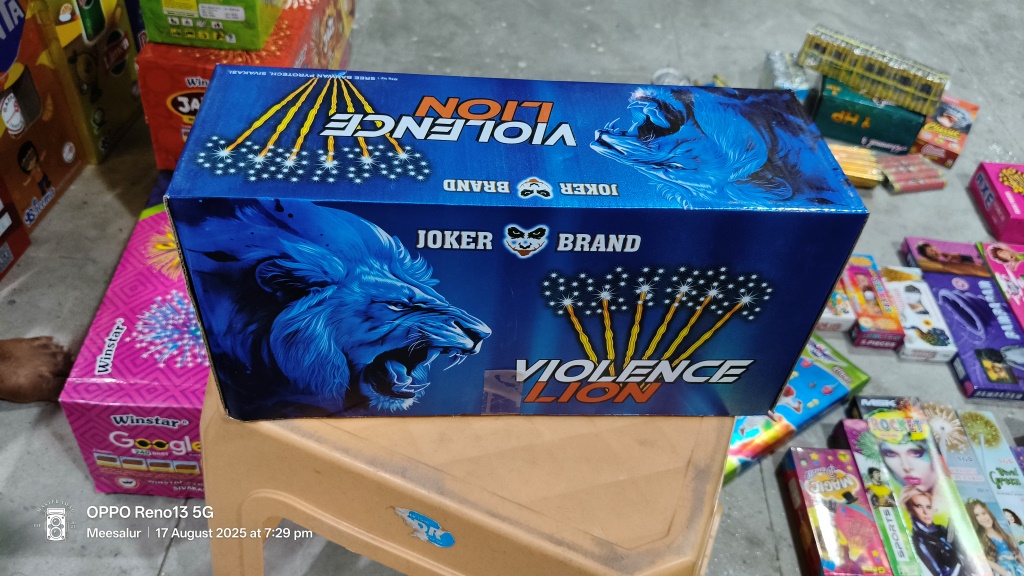 25 Violence Lion